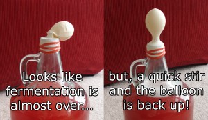 balloonwine